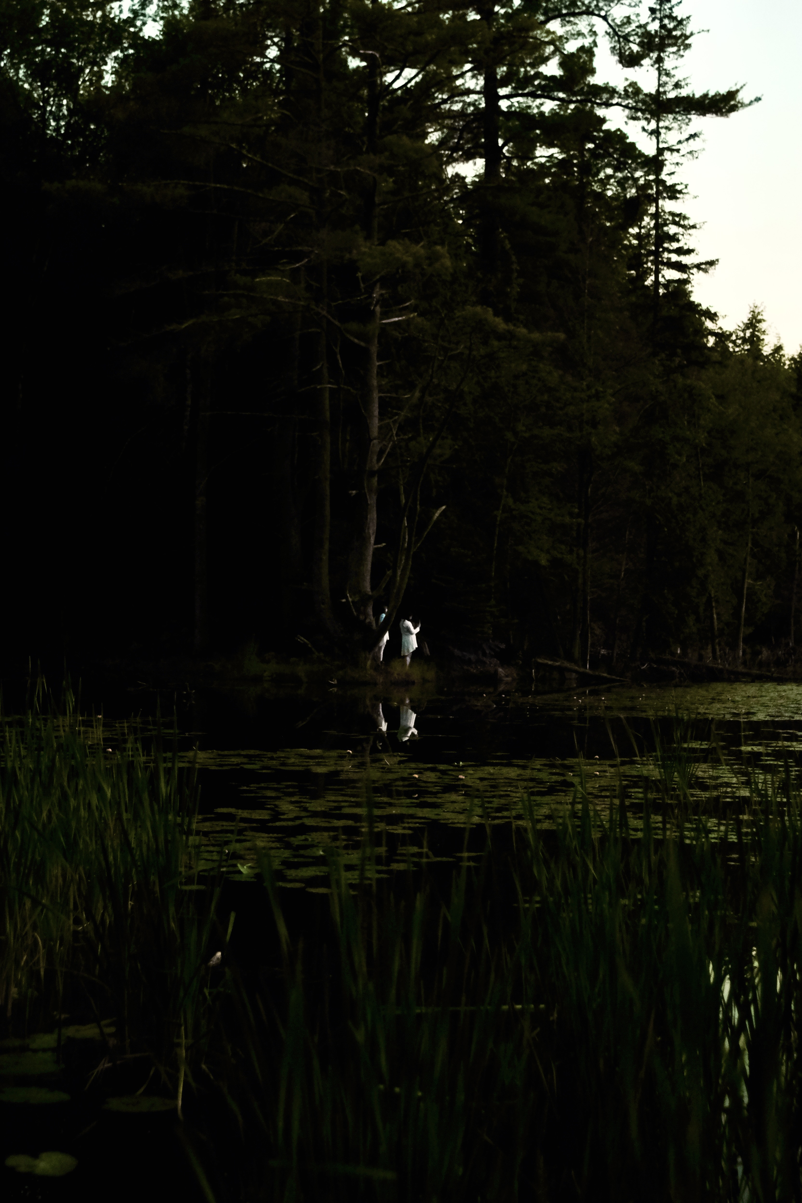 On Disappearing - Pond Girl